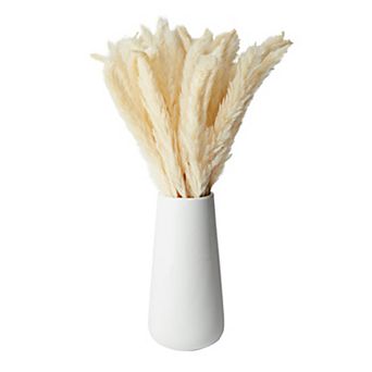 40x Natural Dried Pampas Grass with White Ceramic Vase for Bathroom and Home 16"