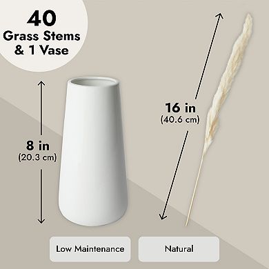 40x Natural Dried Pampas Grass with White Ceramic Vase for Bathroom and Home 16"