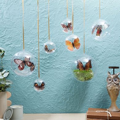 Clear Plastic Ornaments for DIY Arts and Crafts, Fillable Decorations (3.15 In, 24 Pack)