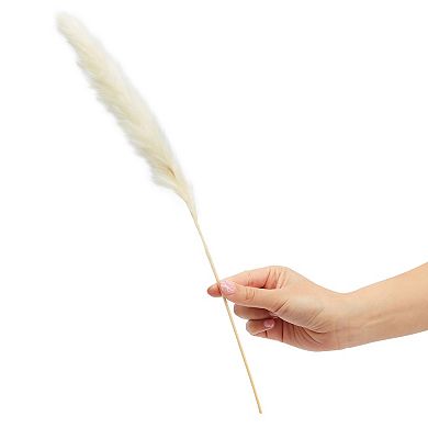 30 Pack Dried White Pampas Grass for Vase, Wedding, Farmhouse Decor, 17 In