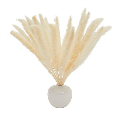 White Pompass Grass Branches for Vase, Modern Home Decor (17 In, 30 Pack)