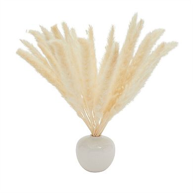 30 Pack Dried White Pampas Grass for Vase, Wedding, Farmhouse Decor, 17 In