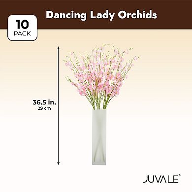 10 Pack Silk Dancing Lady Orchids, 36.5