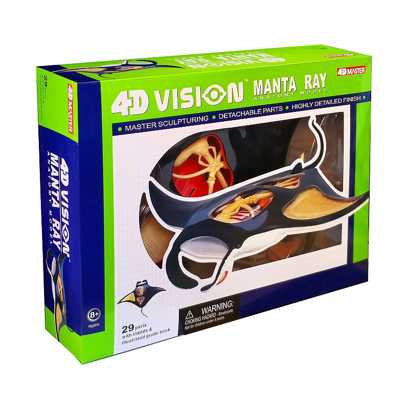 4D Master 4D Vision Manta Ray Anatomy Model, Multicolor