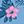Blue With Flamingos