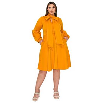 Plus Size Bekah Flare Pocket Dress