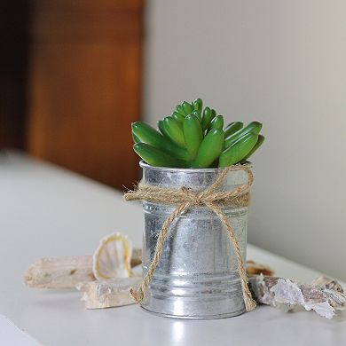 5” Artificial Pachyveria Succulent in Tin Can Planter with Twine Bow