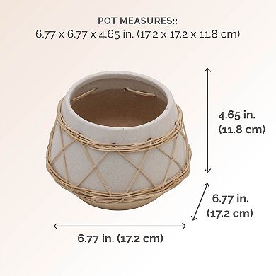 Elements Wrap Pot Table Decor