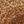 Beige Khaki