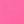 Black Fuchsia