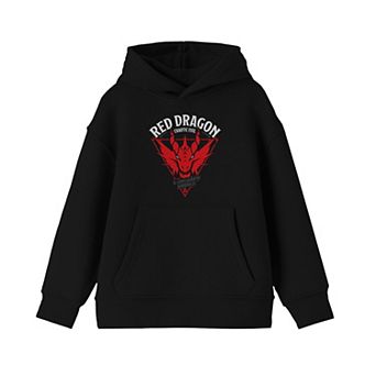 Boys 8-20 Dungeons & Dragons Dragon Graphic Hoodie