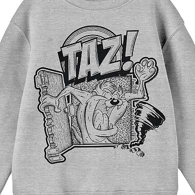 Boys 8-20 Looney Tunes Taz Character Long Sleeve Graphic Tee