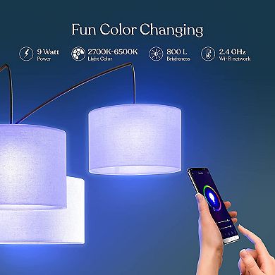 A19 RGB Color Changing LED Smart Bulb