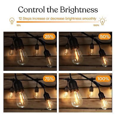 Ambience Pro Dimmer Control For Brightech Plug-in String Lights