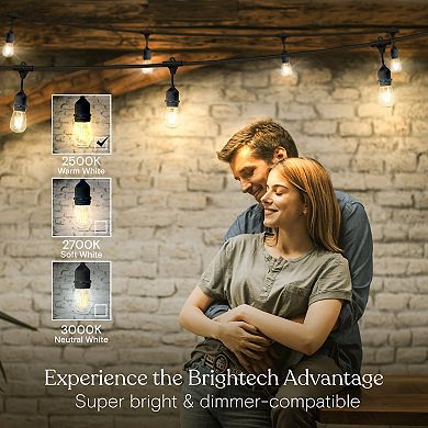 Ambience Pro Weatherproof LED Commercial Grade String Lights - 7 Bulbs, 2W, 24 Ft, 2500K