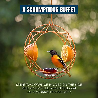 Mekkapro Sun Baltimore Oriole Feeder For Outdoors, Jelly And Orange Metal Bird Feeder