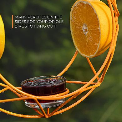 Mekkapro Sun Baltimore Oriole Feeder For Outdoors, Jelly And Orange Metal Bird Feeder