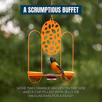 Mekkapro Temple Oriole Feeder For Outdoors, Jelly And Orange Metal Bird Feeder, Unique Laser Cut