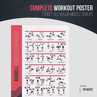 FitMate Resistance Bands Workout Exercise Poster (20 x 30 Inch)