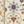 Ivory Multi