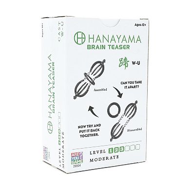 Hanayama Level 3 Cast Puzzle