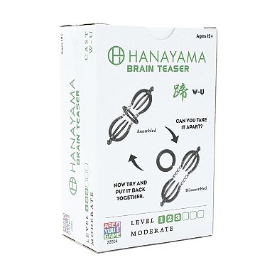Hanayama Level 3 Cast Puzzle 