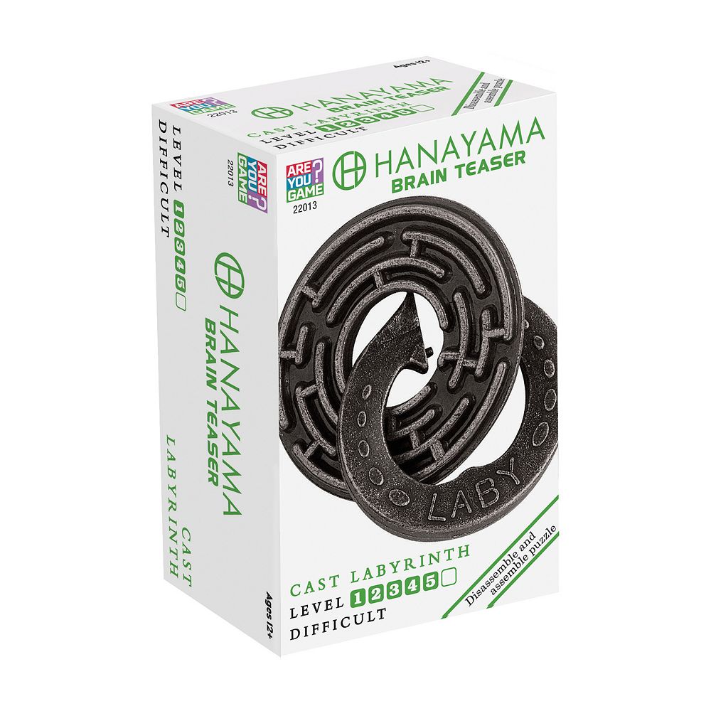 Hanayama Level 5 Cast Puzzle Labyrinth
