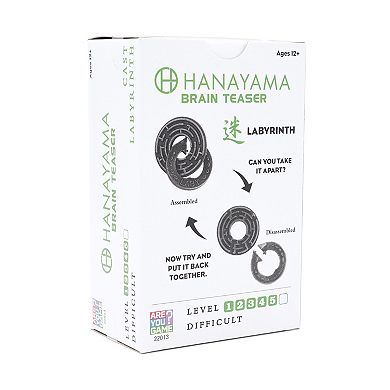 Hanayama Level 5 Cast Puzzle Labyrinth