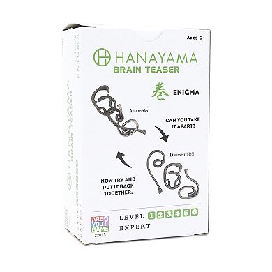 AREYOUGAMECOM Hanayama Level 6 Enigma Cast Puzzle