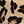 Tan Alice Leopard