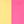 Yellow Fuchsia