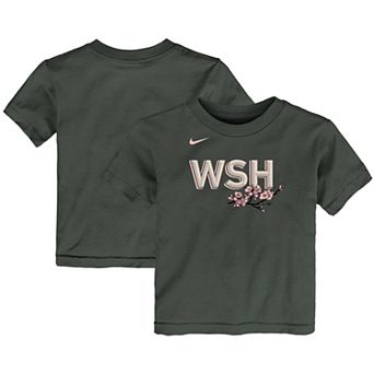 Toddler Nike Gray Washington Nationals 2022 City Connect Wordmark T-Shirt