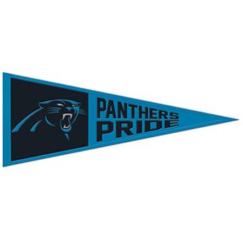 WinCraft Carolina Panthers 13" x 32" Slogan Pennant