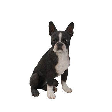 16.5" Black and White Boston Terrier Sitting Figurine
