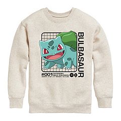 Boys 8-20 Pokemon Charizard Stats Graphic Fleece Sweatshirt