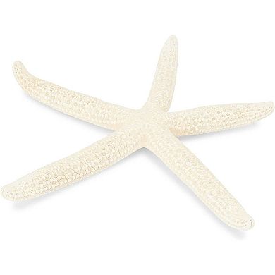 Juvale White Finger Starfish for Nautical Decor (4 to 6 in, 12 Pack)