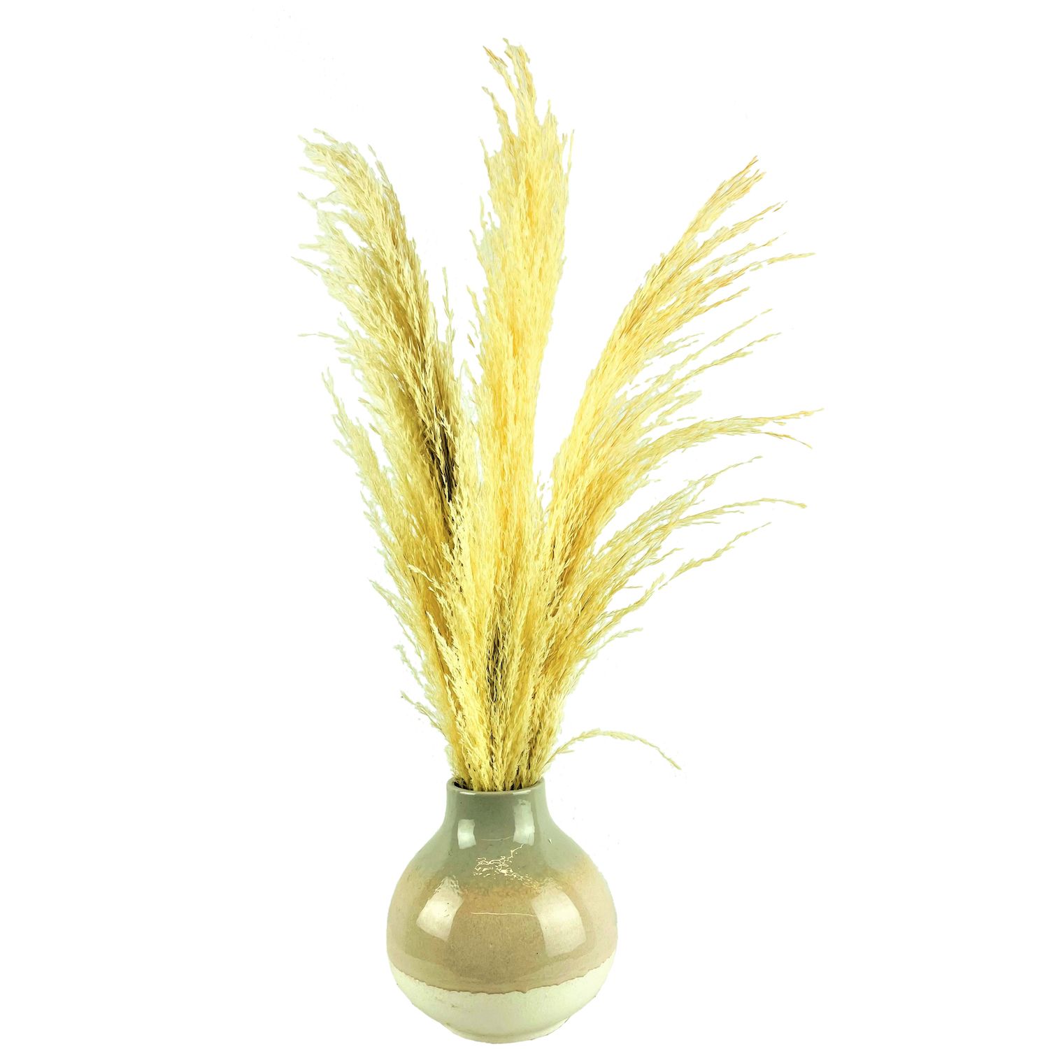 Pampas Grass Decor