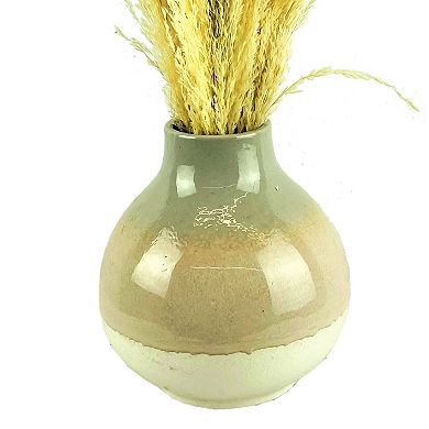 Sonoma Goods For Life?? Pampas Grass in Ceramic Glazed Vase