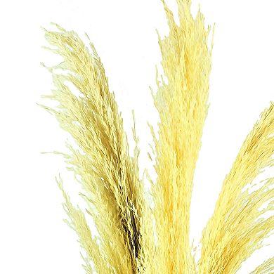 Sonoma Goods For Life® Pampas Grass in Ceramic Glazed Vase