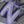 Shadow Electric Indigo
