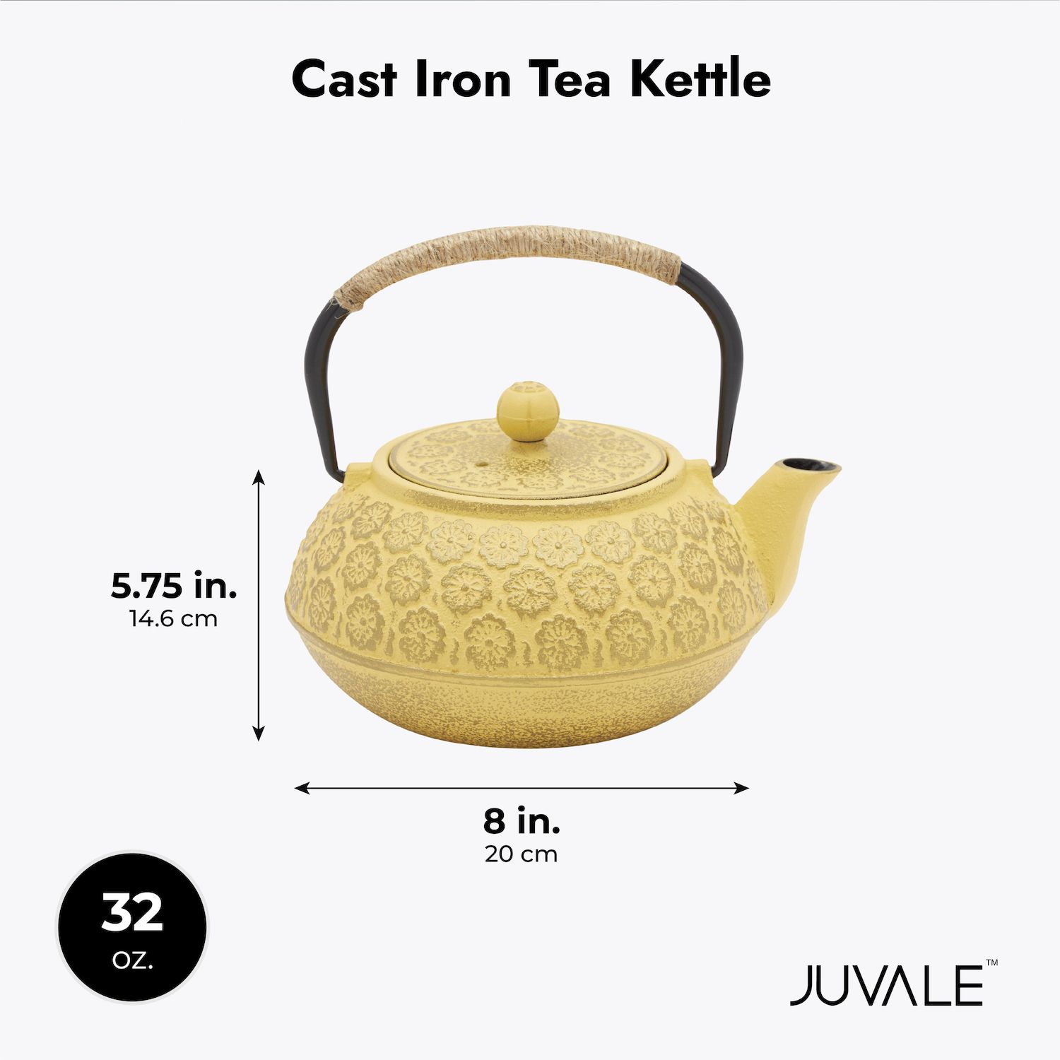 24 Oz Green Dragonfly Japanese Cast Iron Tetsubin Teapot With Infuser - Complete Tea Set