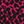 Berry Black