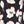 Black Ivory Floral