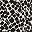 Cream Black