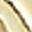 Gold Tone