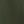 Medium Olive