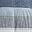 Blue Gray