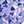 Violet White