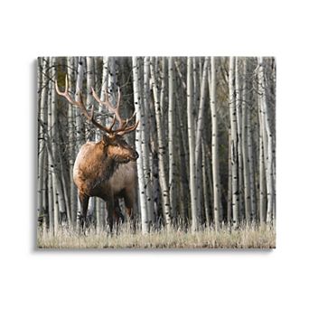 Stupell Home Decor Elk Birch Trees Canvas Wall Art