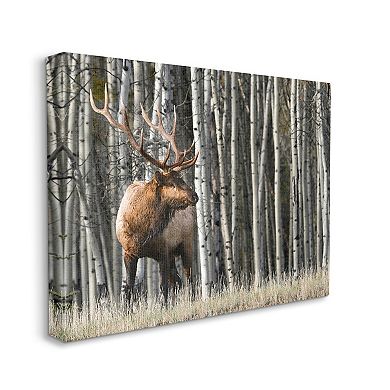 Stupell Home Decor Elk Birch Trees Canvas Wall Art